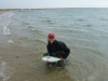 Allison's 2011 False Albacore