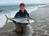 26 inch False Albacore 