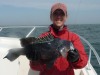 Black Sea Bass