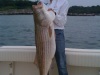 First 30 pounder of 2011